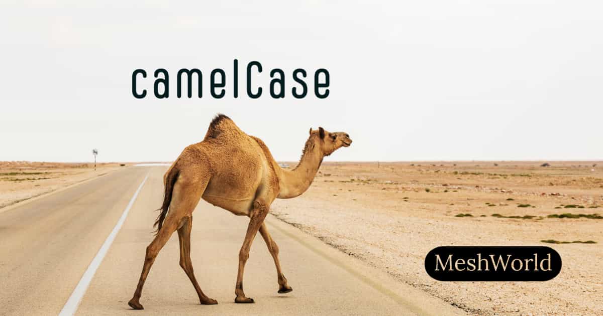 How to convert string to `camelCase` in Laravel